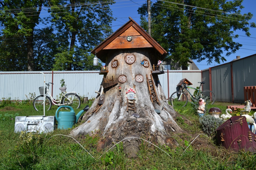 Tree stump in a backyard