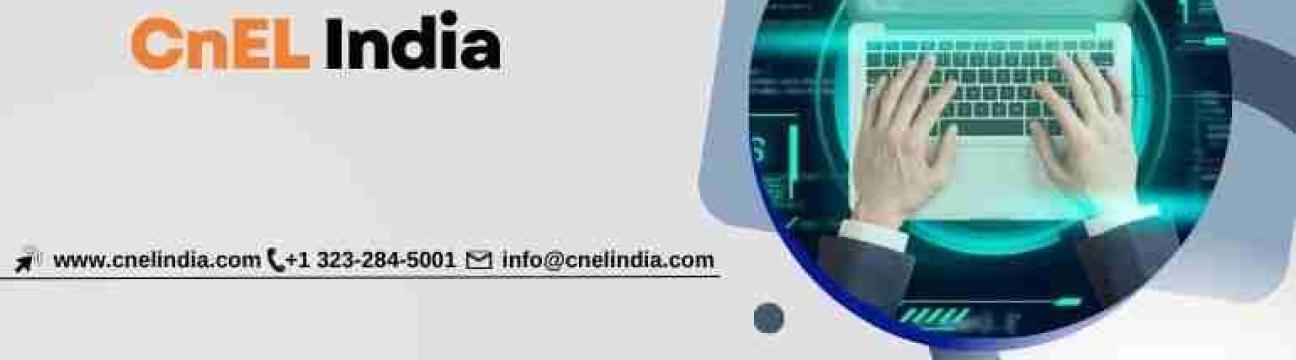 Wordpress  Developer