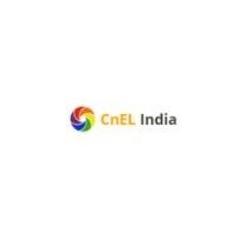 CnEL India